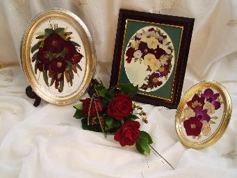 Red Flowers. Click for more info