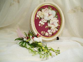 Cream oval. Click for more info